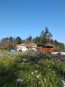 viber_image_2025-01-24_18-48-24-610